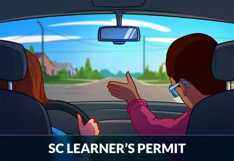 sc out of state beginner permit